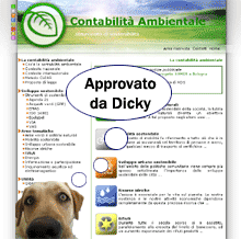 Il sito ContabilitaAmbientale.it Il sito ContabilitaAmbientale.it